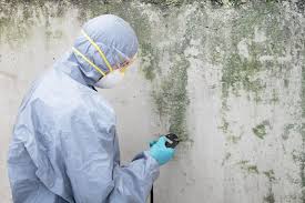 Best Emergency Mold Remediation in Saranac Lake, NY